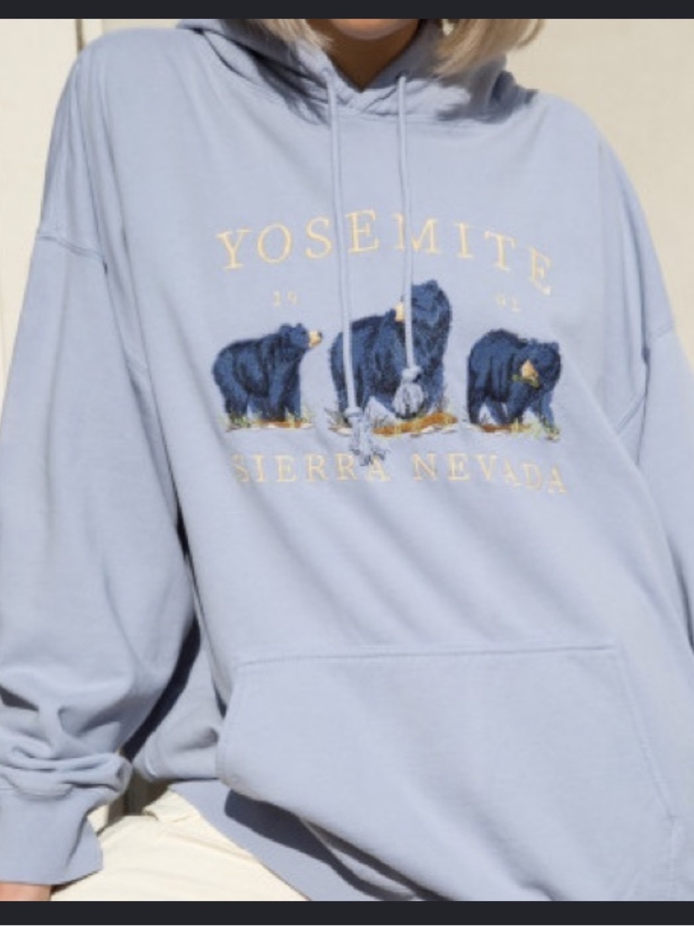 Brandy Melville Light Gray Hoodie with Pink Accent